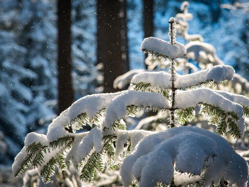 Winteröffnungszeiten