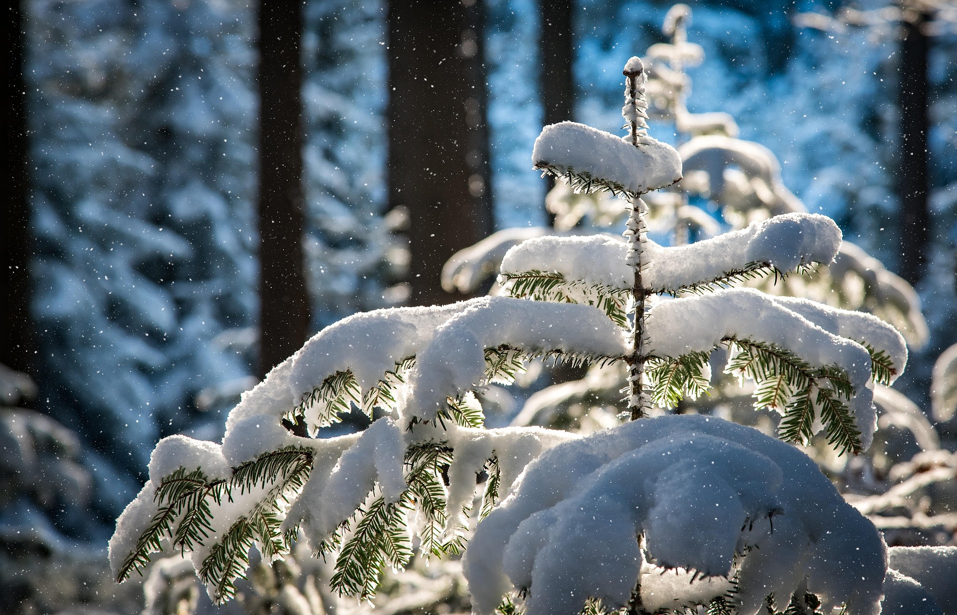 Winteröffnungszeiten Winteröffnungszeiten